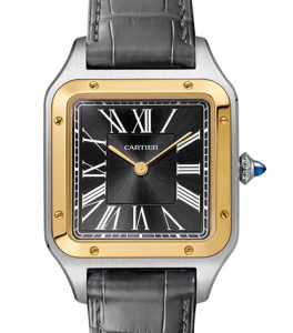 cartier_2020_26