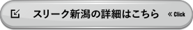 スリーク新潟の詳細はこちら